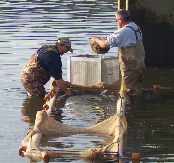 Carpenter 39 S Brook Fish Hatchery Onondaga County Parks Friends Of Fish Hatchery Fundraiser Saay