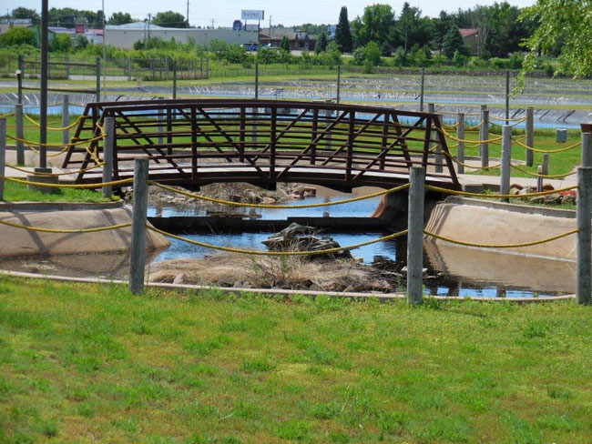 spooner-hatchery-ponds-bridge